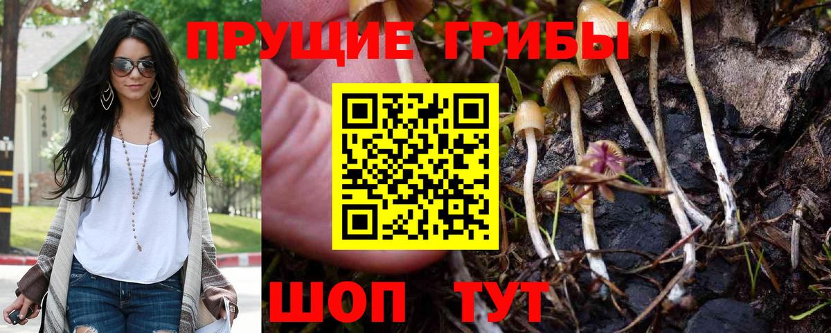 Кропоткин  Псилоцибиновые грибы Psilocybe  Псилоцибиновые грибы Psilocybe  Вход с VPN 