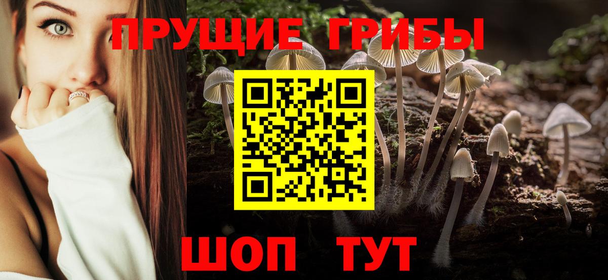 Псилоцибиновые грибы Cubensis Кропоткин